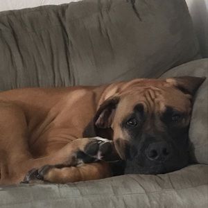 Meet your Posher, Tammy